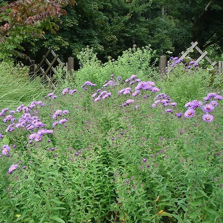 Europa Residenz Premium Suite Apartment