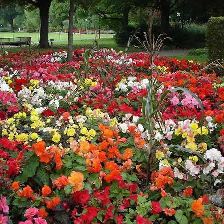 Apartment Europa Residenz Premium Suite *