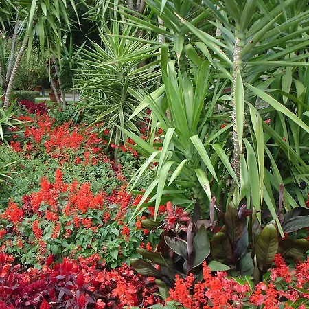 Europa Residenz Premium Suite *