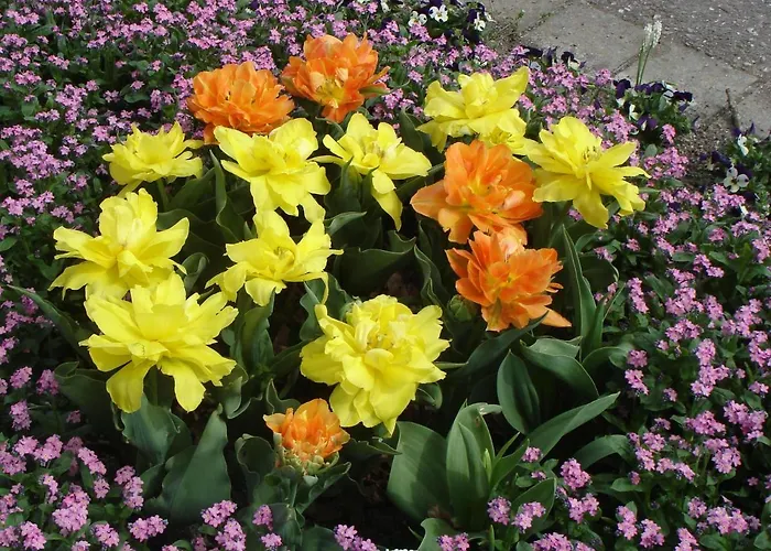 Europa Residenz Premium * Bad Fussing