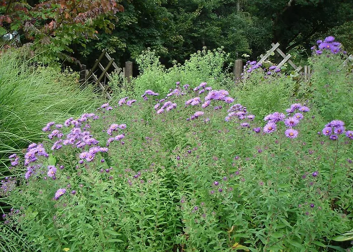 Europa Residenz Premium Apartment