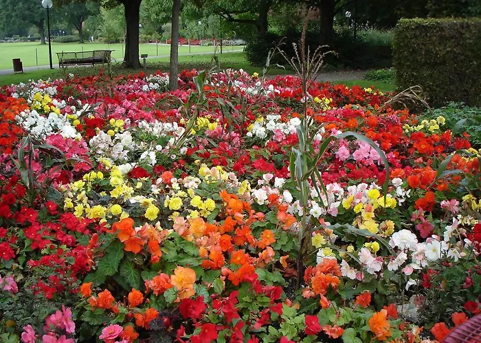 Apartment Europa Residenz Premium *