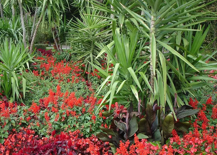 Europa Residenz Premium *