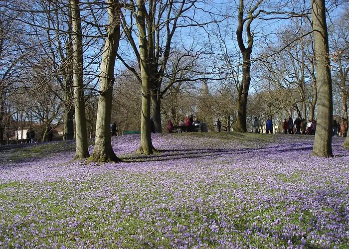 Apartment Europa Residenz Premium *